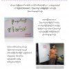 News Letter 2013 News Letter 2013